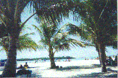 Beach at Boca Chica near Santo Domingo, Dominican Republic